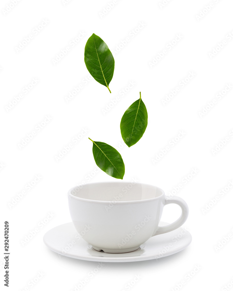 tree leaves falling into tea cup on white background. tree leaves falling into tea cup on white background.