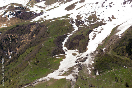 Spring snow and trees on the slope. Grossglockner Pass in Austria photo