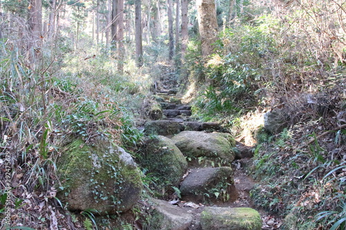 石老山への登山道