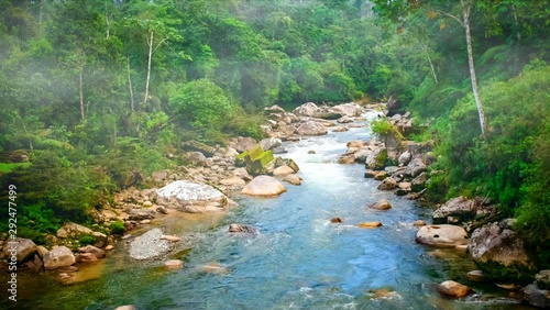  Wild river in tropical rainforest, Ecuador