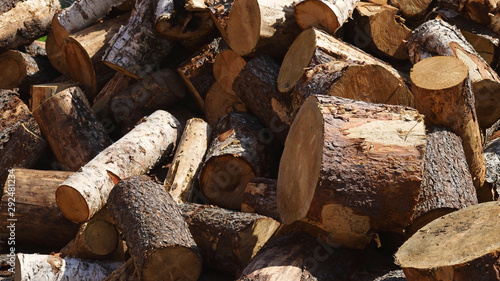 Tableau sur toile Log firewood, non chopped fir and birch wood