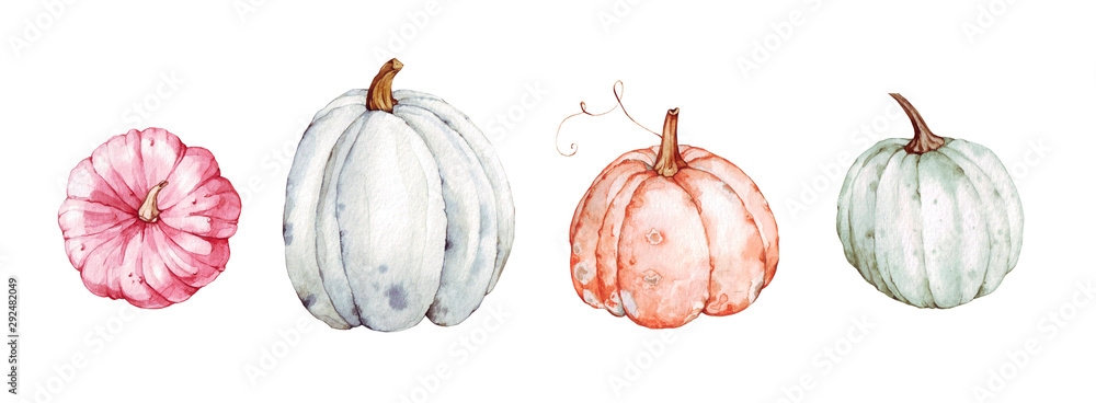 Beautiful pumpkins on isolated white background. Autumn set of elements ...