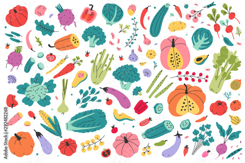 Collection of colored hand drawn fresh vegetables isolated on white background. Big bundle of tasty vegetarian products, wholesome healthy food. Flat cartoon doodle vector illustration, farming market photo