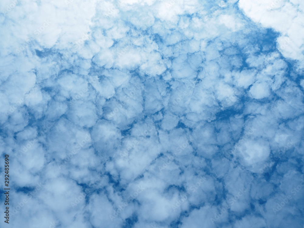 White clouds in the blue sky. Cloudy sky. Bottom view