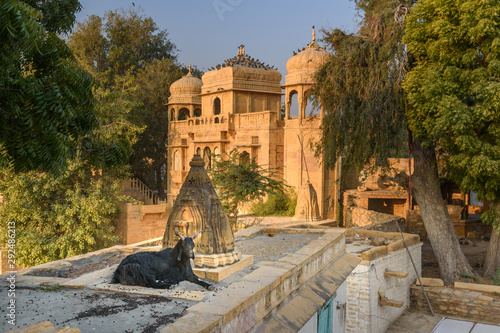 Black goat lies by the temple at Gadisar lake in Jaisalmer. India