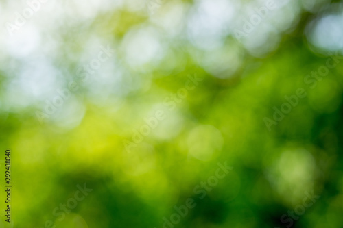 Green bokeh on nature abstract blur background green bokeh from tree