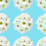 Beautiful white chrysanthemum flowers placed in round on a blue background. Seamless pattern