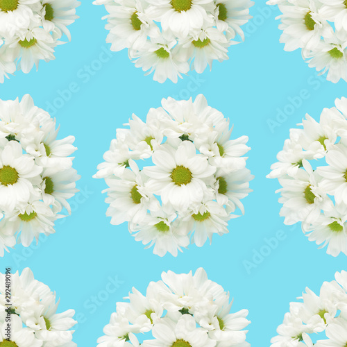 Beautiful white chrysanthemum flowers placed in round on a blue background. Seamless pattern