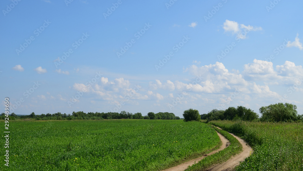 Landscape with green meadow, dirt road and a trees. Rural summer nature scene Landscape with green meadow, dirt road and a trees. Rural summer nature scene
