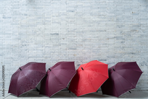 Red umbrella stand out from the rest