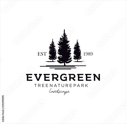 pine evergreen fir Tree Logo Design Template . hemlock spruce Tree Logo Vintage . conifer cedar coniferous Logo Hipster Retro. larch pinus cypress Logo Icon .