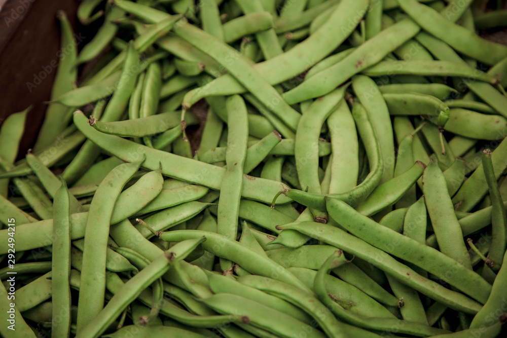 Green Cowpea Vegetables Full Frame close up Green Cowpea Vegetables Full Frame close up