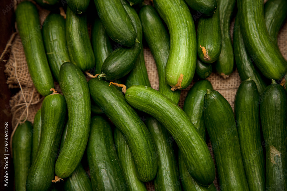 Cucumber Vegetables Full Frame close up Cucumber Vegetables Full Frame close up