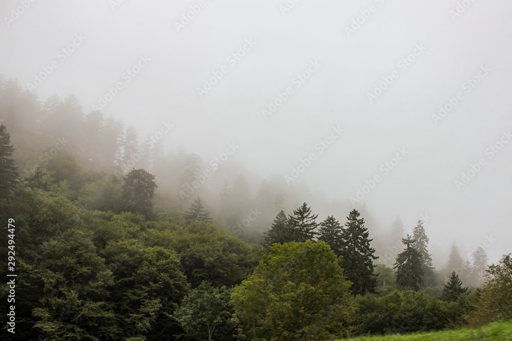 Misty weather on Smoky mountains in North Carolina, USA