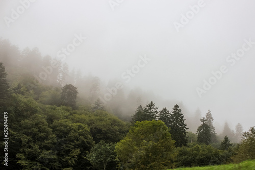 Misty weather on Smoky mountains in North Carolina, USA