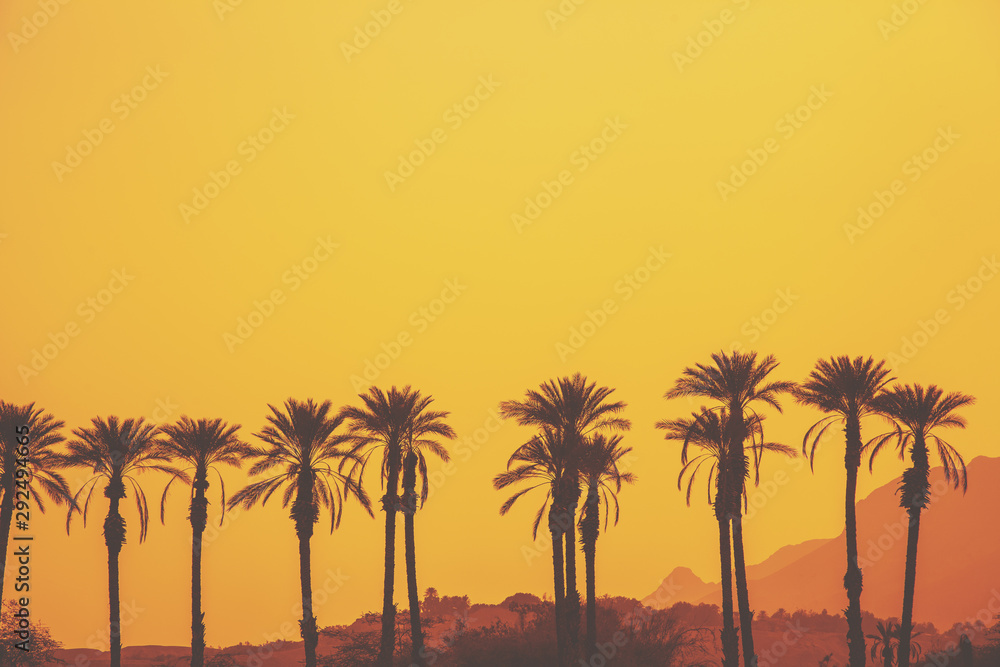 A row of tropical palm trees against the mountains at the golden sky. Silhouette of tall palm trees in the evening. Tropical evening landscape. Beautiful tropical nature