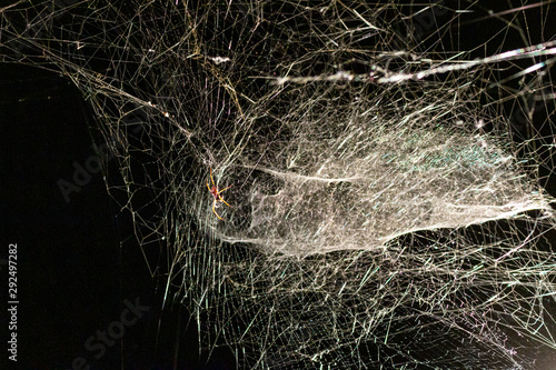 orange spider web light big white