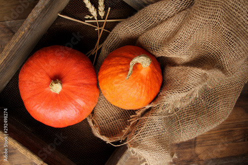 wo beautiful orange pumpkin lies in a wooden box with a rusty net, old bag, grunge, concept, close-up, copy space