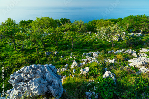 Cerredo Mountain, Cantabrian Sea, Castro Urdiales, Cantabria, Spain, Europe photo