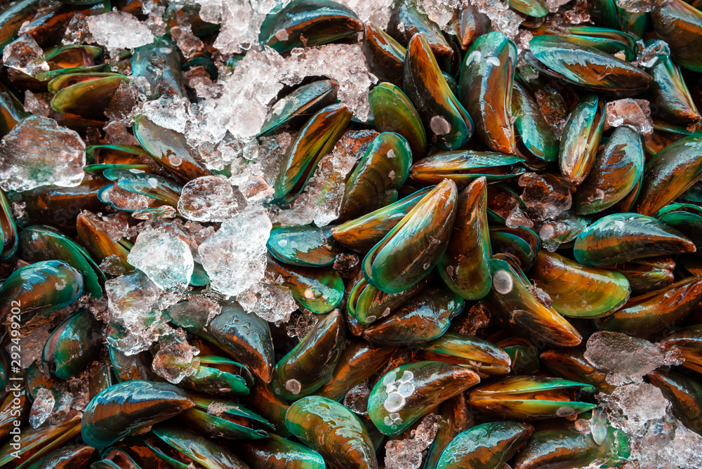 Fresh mussels are sold on the market.