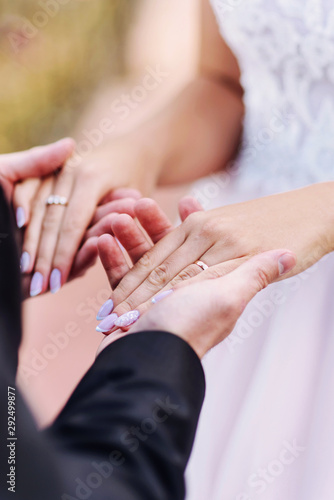 Rings on the hands of the bride and groom