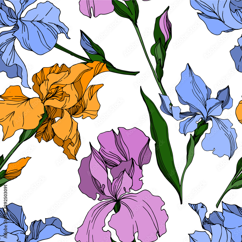 Vector Iris floral botanical flowers. Black and white engraved ink art. Seamless background pattern.