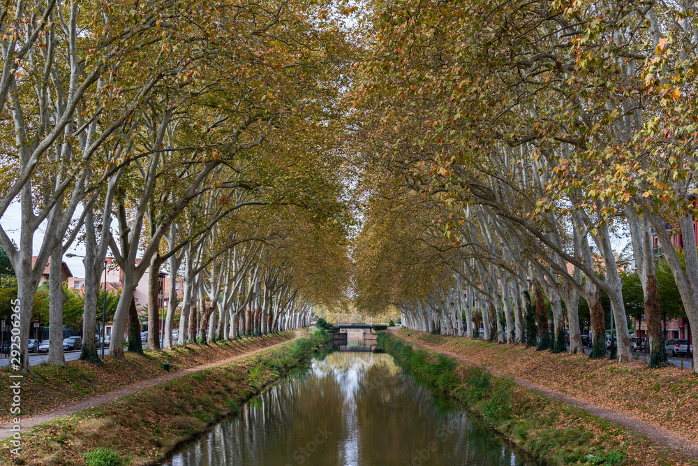 Canal and bridge covered by trees in autumn in Toulouse 