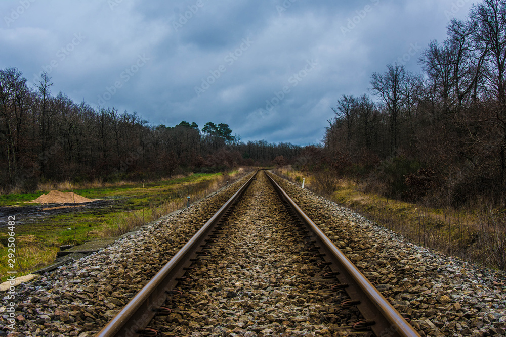 Straight railway in a forest in a cloudy day Straight railway in a forest in a cloudy day