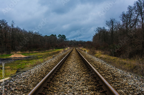 Straight railway in a forest in a cloudy day