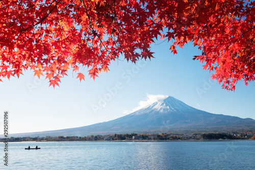 Fuji mountain and red maple in Autumn  Japan.