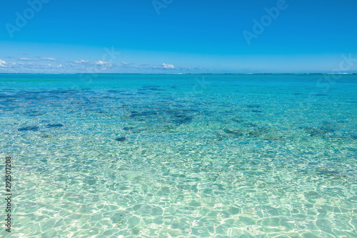 Tropical scenery - beach with transparent ocean and blue sky of Mauritius