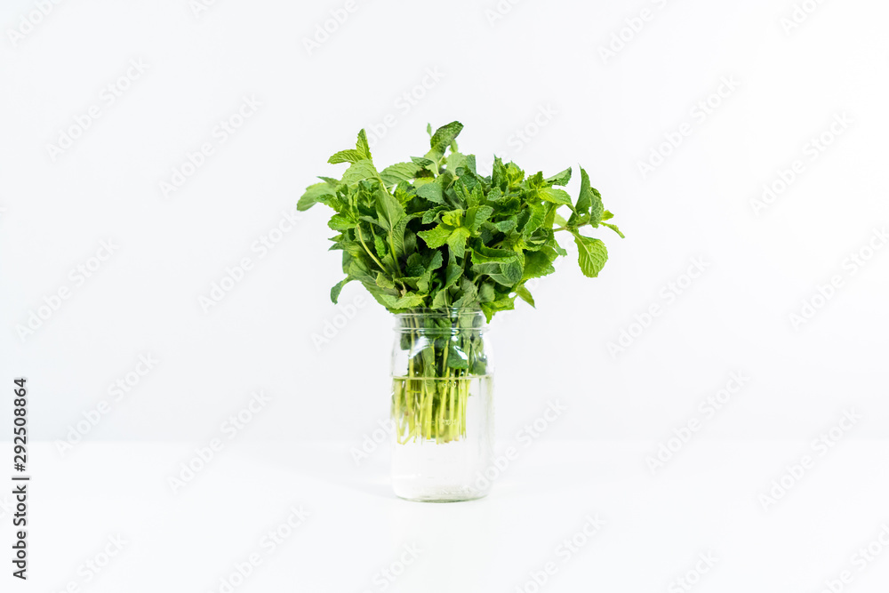 Garden mint Garden mint