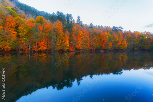 Autumn time. Colorful tree leaves  yellow  orange  red. Gorgeous view. Yedigoller National Park. Istanbul  Bolu  Turkey.