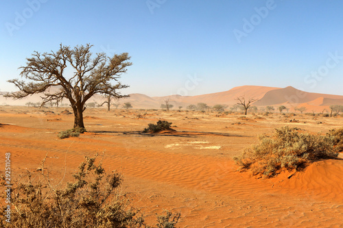 Canvastavla nAMIBIE