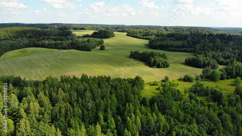 Aerial View Of A Forest During Summer Season