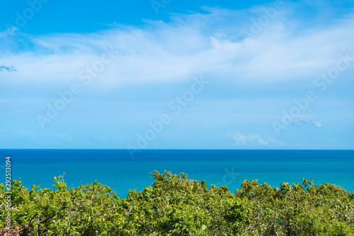 The seaside trees and the blue sky © 3ento