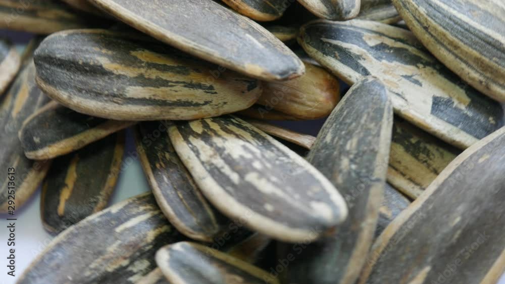 Sunflower seeds in a spin dish Sunflower seeds in a spin dish