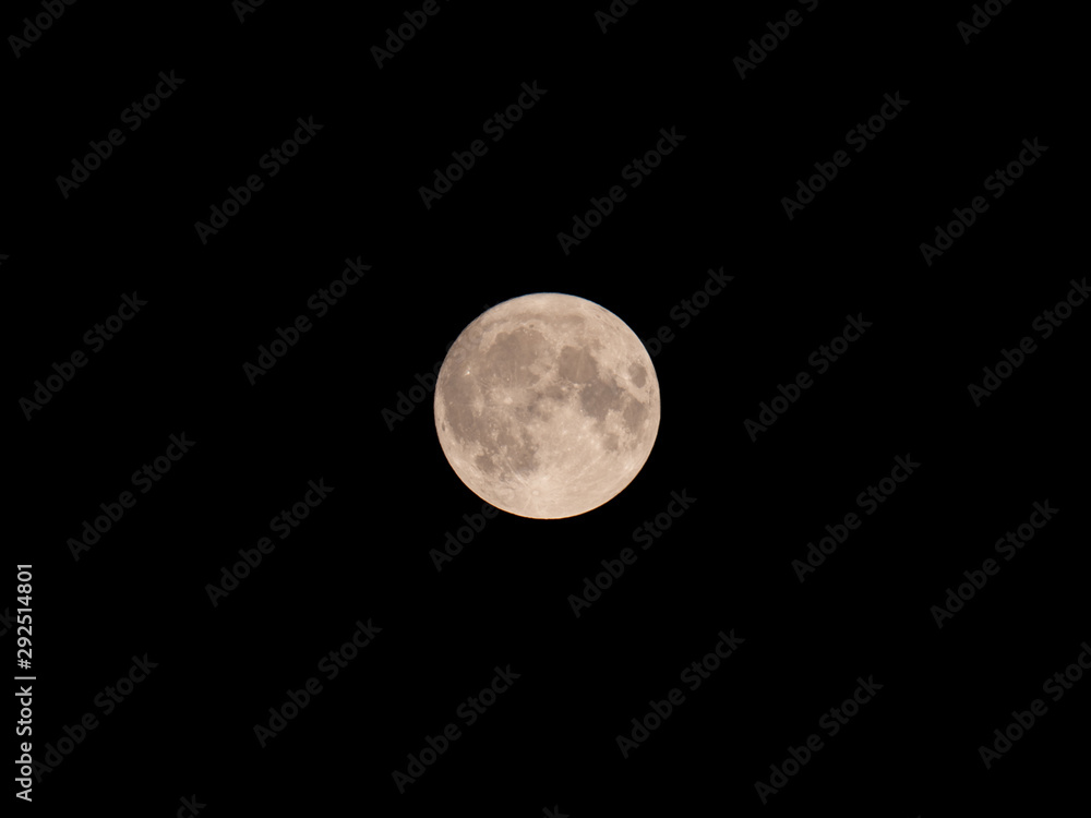 Full moon over closeup. Full moon on dark sky. Full moon over closeup. Full moon on dark sky.