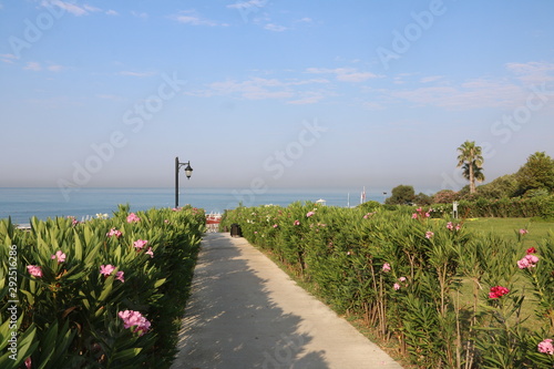 Fototapeta Naklejka Na Ścianę i Meble -  Weg zum Strand von blühendem Oleander gesäumt