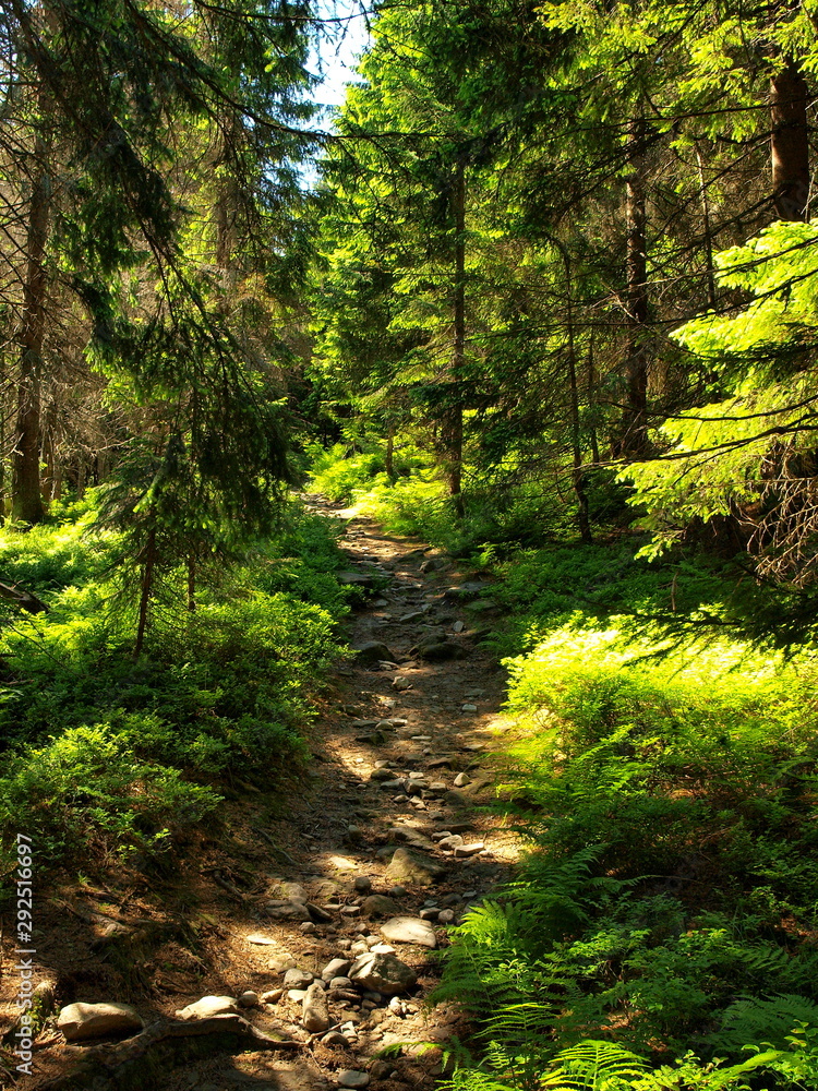 Gorce - Carpathians Mountains Gorce - Carpathians Mountains