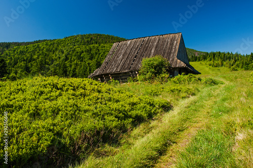 Gorce - Carpathians Mountains  photo