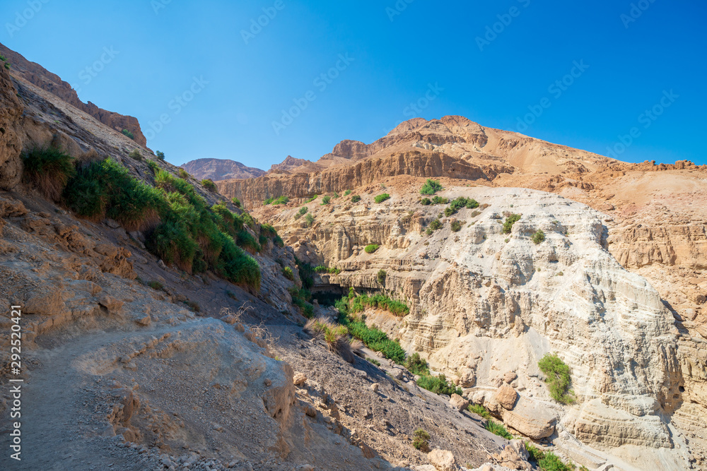 ein gedi israel ein gedi israel