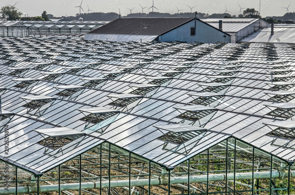 's-Gravenzande, The Netherlands, September 28, 2019: rows of open windows create a rhytmic pattern on the roofs of greenhouses, interupted by a number of barns and sheds