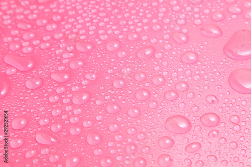 Close up water drops on pink background, Water drop in macro photography
