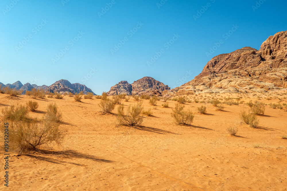 desert in wadi rum jordan