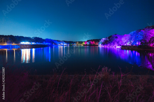 Teamlab Digitized Lakeside and Forest in Saitama photo