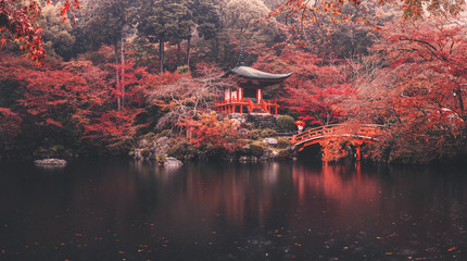 Fotobehang Cappuccinokleur Daigo-ji temple in autumn season at japan  © Peera