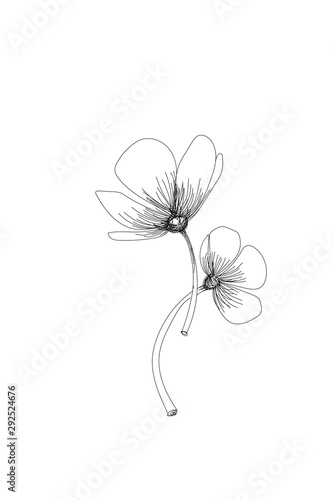 flowers  tulip line expand icon on white background