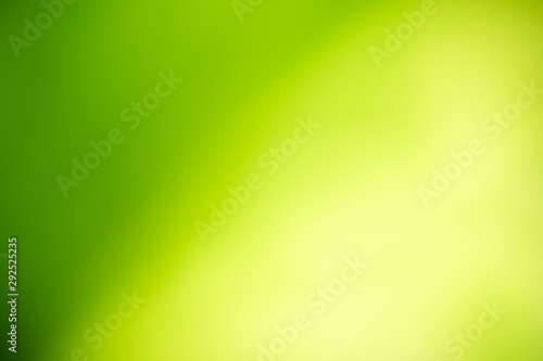 Beautiful abstract lights of green nature using as background or wallpaper concept.