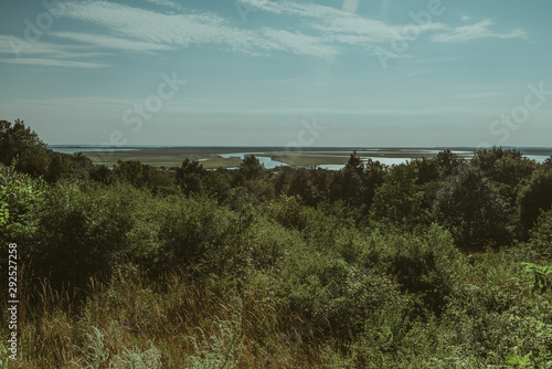 Forest landscape and flood in the distance